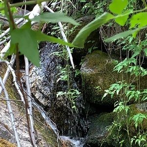 Meet your Posher, Elsy